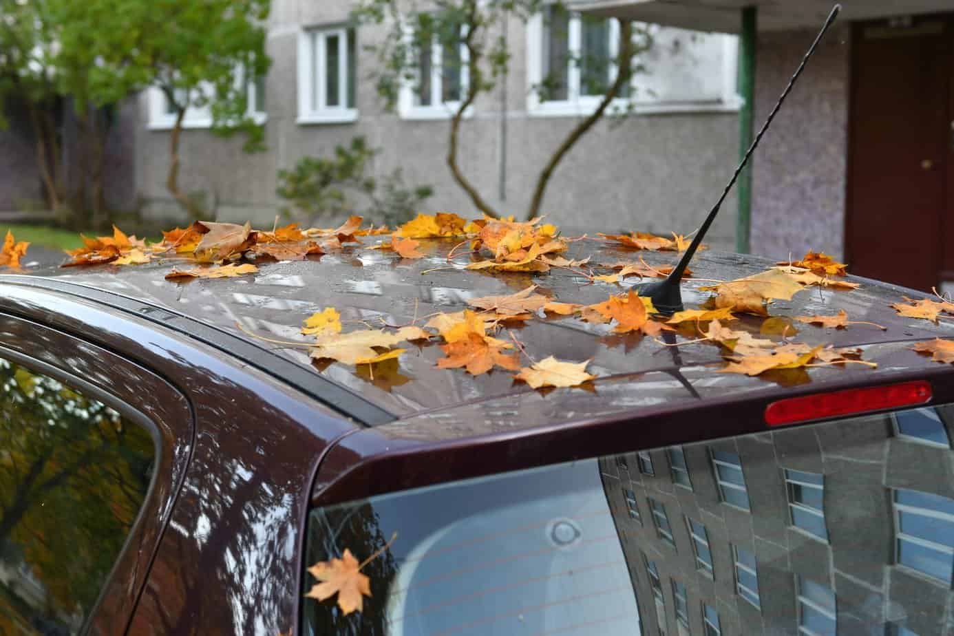 So machen Sie Ihr Auto fit für Herbst und Winter. Foto akophotography via Envato