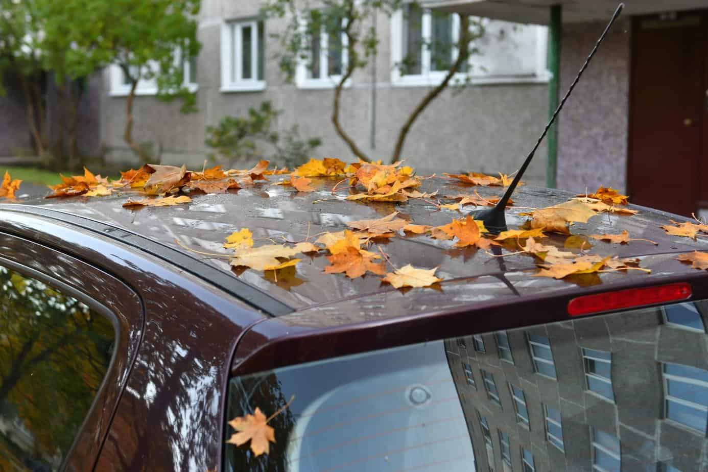 https://www.autopflege-wissen.de/images/2022/09/So-machen-Sie-Ihr-Auto-fit-fuer-Herbst-und-Winter.-Foto-akophotography-via-Envato-scaled.jpg